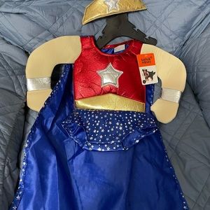 Super Dog Halloween Costume